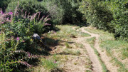 Charpal_24_08-48