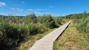 Charpal_24_08-49