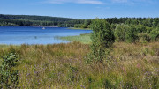 Charpal_24_08-51