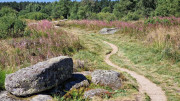 Charpal_24_08-54