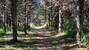 Charpal_24_08-61