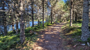 Charpal_24_08-62