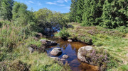Charpal_24_08-64