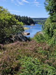 Charpal_24_08-66