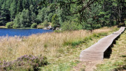 Charpal_24_08-68