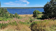 Charpal_24_08-78