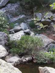 VEZOLES_17_06-8