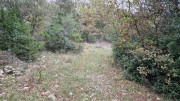 Freyssac_23_11-10