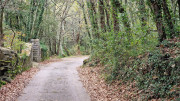 Freyssac_23_11-103