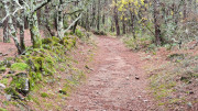 Freyssac_23_11-105