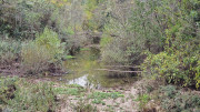 Freyssac_23_11-106