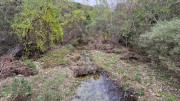 Freyssac_23_11-107