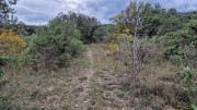 Freyssac_23_11-115