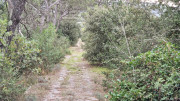 Freyssac_23_11-125