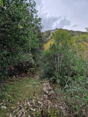 Freyssac_23_11-13