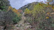 Freyssac_23_11-14