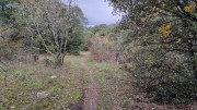 Freyssac_23_11-28