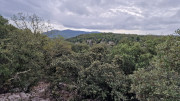 Freyssac_23_11-29