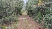 Freyssac_23_11-32