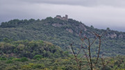 Freyssac_23_11-34