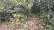 Freyssac_23_11-37