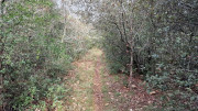 Freyssac_23_11-38