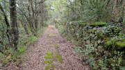 Freyssac_23_11-42