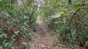 Freyssac_23_11-43