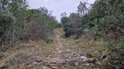 Freyssac_23_11-46