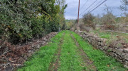 Freyssac_23_11-56