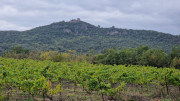 Freyssac_23_11-58