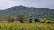 Freyssac_23_11-62