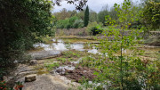 Freyssac_23_11-64