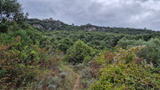 Freyssac_23_11-74