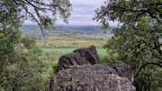 Freyssac_23_11-81