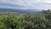 Freyssac_23_11-84