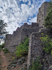 Freyssac_23_11-85