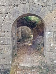 Freyssac_23_11-89