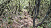 Freyssac_23_11-97