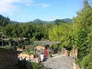 bambouseraie_18_06-1