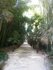 bambouseraie_18_06-10