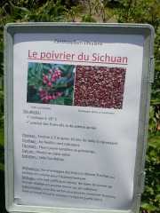 bambouseraie_18_06-100