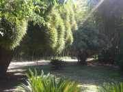 bambouseraie_18_06-15