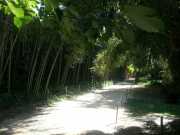 bambouseraie_18_06-16