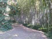 bambouseraie_18_06-17