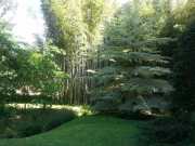 bambouseraie_18_06-18