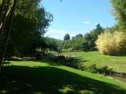 bambouseraie_18_06-20