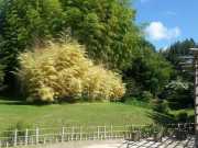 bambouseraie_18_06-22