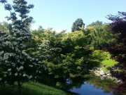 bambouseraie_18_06-29