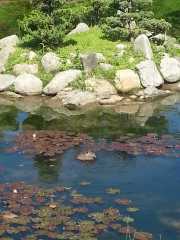 bambouseraie_18_06-37